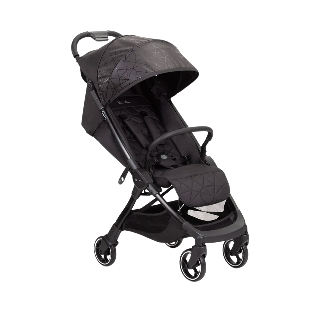 Stroller Rental